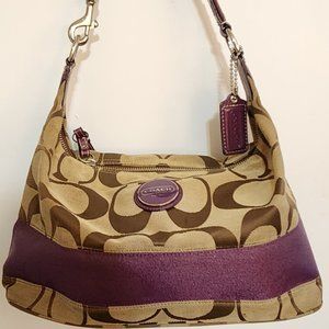 Brown Coach Bag